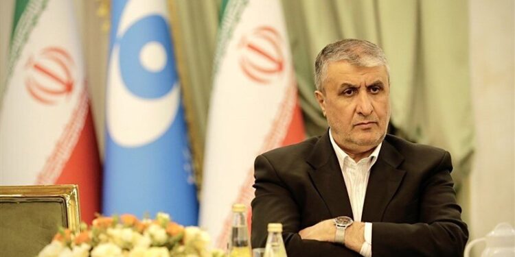 معاون بینالملل شرکت دولتی «روساتم» با اسلامی دیدار کرد