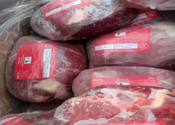 عضو کمیسیون اقتصادی مجلس: گرانی گوشت قرمز؛ نتیجه فقدان حکمرانی در زنجیره تولید و توزیع و بی‌کیفیتی نظارت‌ها